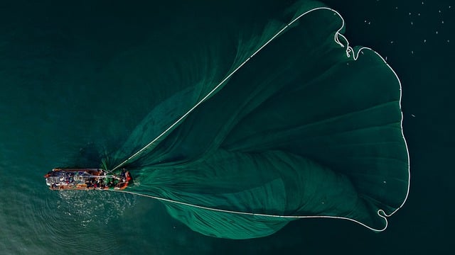 De vele voordelen van een Biminitop voor je boot